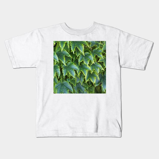 Green Yellow Ivy Leaves Kids T-Shirt by DesignMore21